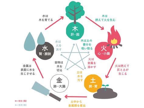 五行 木 職業|四柱推命【木】の五行とは？性格や運勢、恋愛、仕事、相性を解。